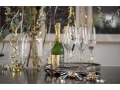 Champagne_glass_.jpg07.jpg