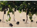wine_glass_.jpg08.jpg