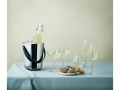 champagne_.jpg08.jpg