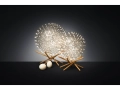 Raimond II-Tensegrity.JPG02.JPG