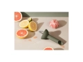Citrus_press_.jpg05.jpg
