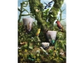 2020-11_BAOBAB_VISUEL 1_RAIN FOREST.jpg