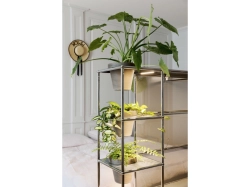 USM Plants