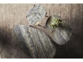 WOUD_Lifestyle_2021_SS21_La_terra_Tint_2.jpg