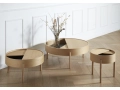 WOUD_AW21_Arc_Oiled oak_1.jpg