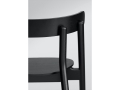 Oaki_black_closeup_back-Northern_Photo_Chris_Tonnesen-Low-res.jpg