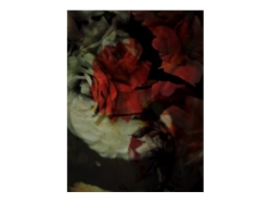 Seduction - dywan