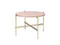 ts table51.jpg