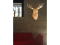 moo03.jpg
