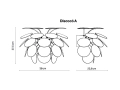 dimensions_discoco_a01.jpg