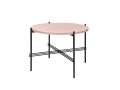 ts table19.jpg