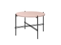 ts table19.jpg