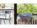 Resting_Animals_Cat_01.jpg