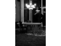 800_600_Z_Horse Lamp credits Inga Powilleit_jpg.jpg