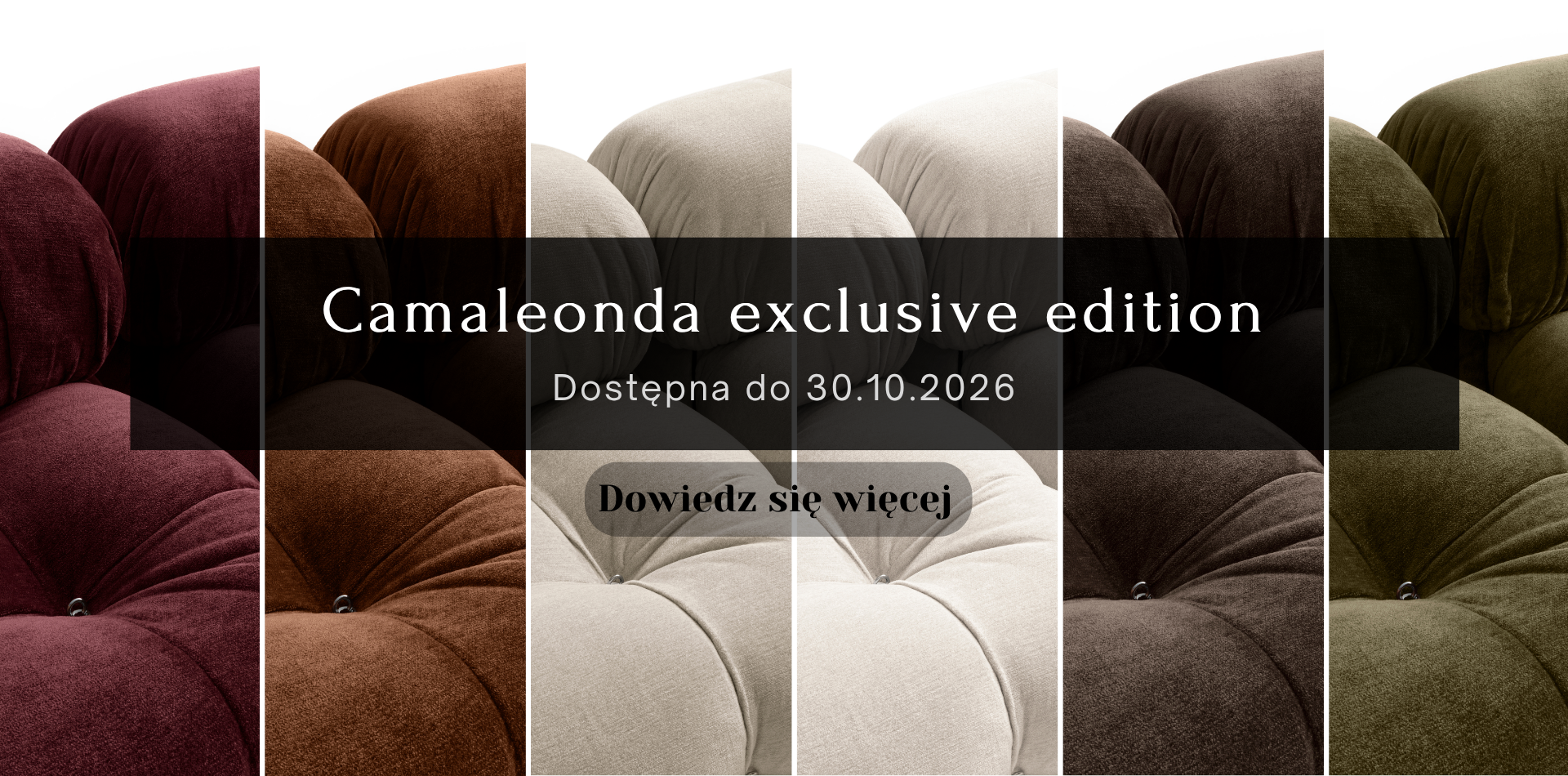 Camaleonda